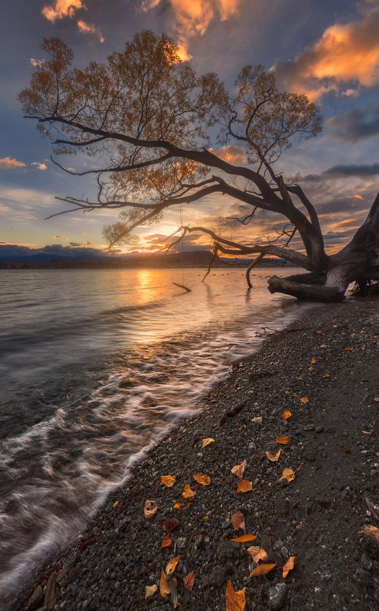 什么手机拍照片最好看又清晰