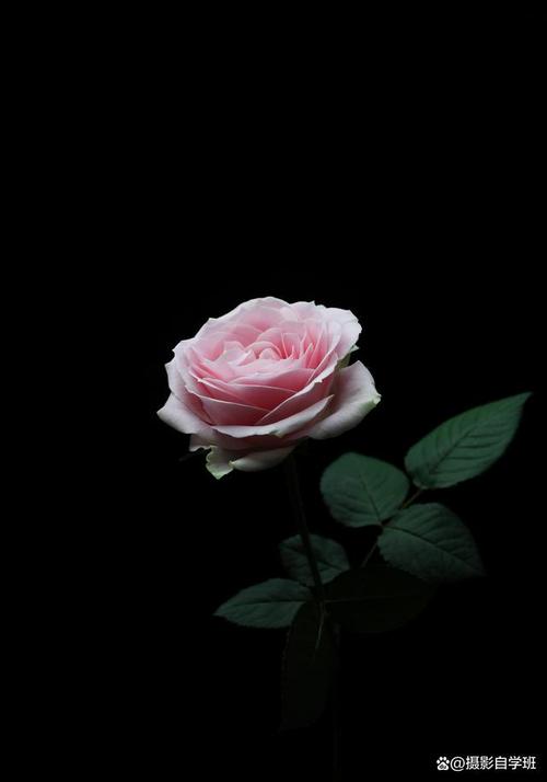 照片背景怎么拍黑