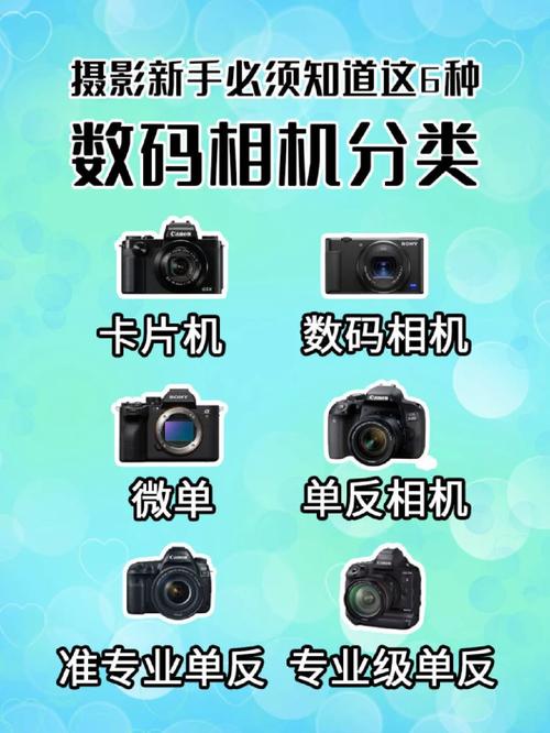 哪个软件拍照好看又清晰图1