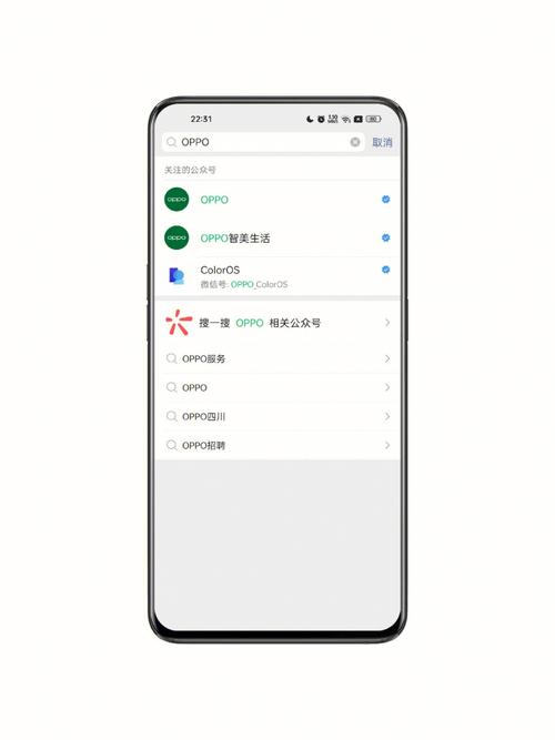 oppo手机水印相机在哪