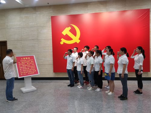 宣誓姿势是什么样的图2