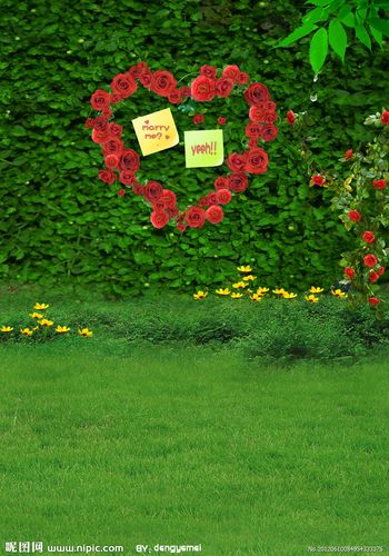 室内照相背景图片大全大图高清图3