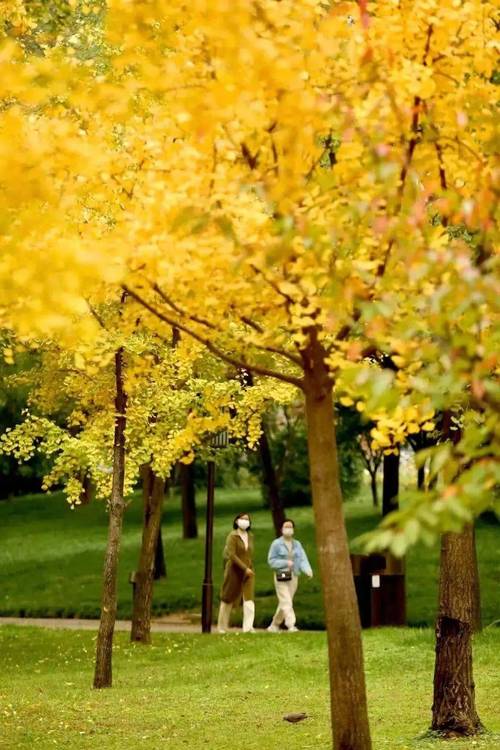 拍照姿势视频教学图1