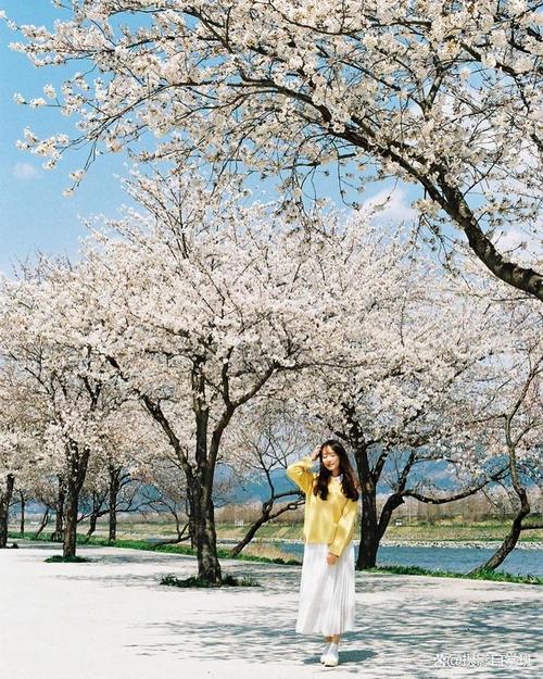 拍照姿势怎么拍图2