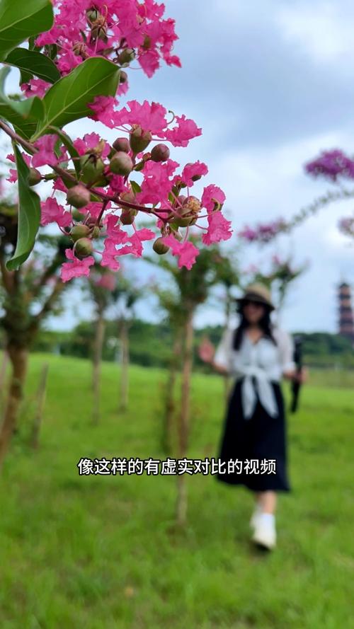 手机风光摄影八个小技巧是什么图3