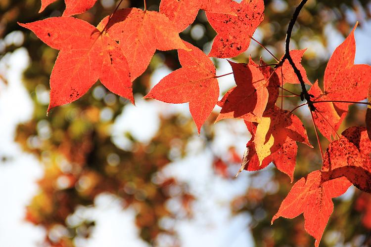 电脑拍照的软件打不开闪退怎么办呀图2