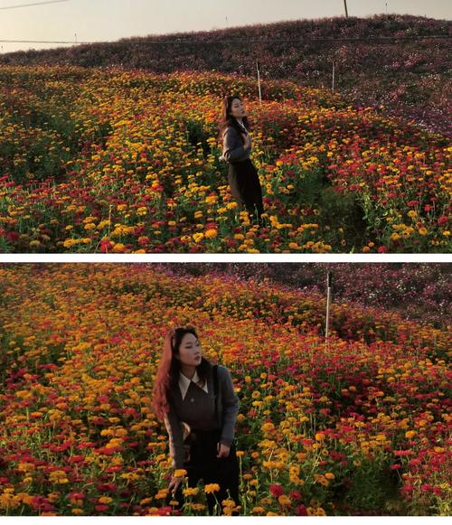 秋日校园美图图1