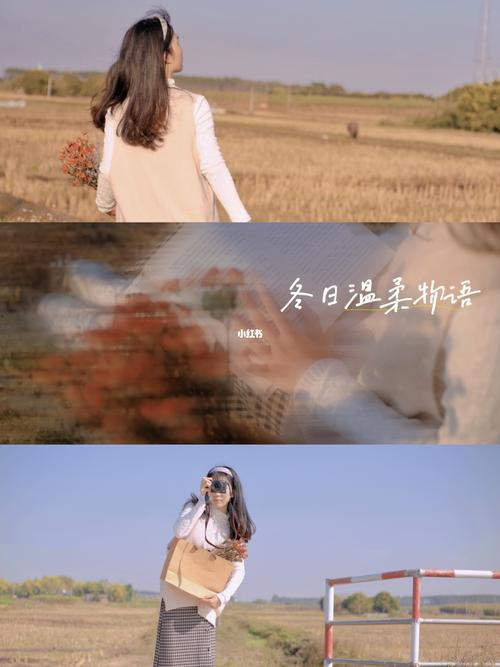 拍出来特别温柔清晰的拍照软件是什么?