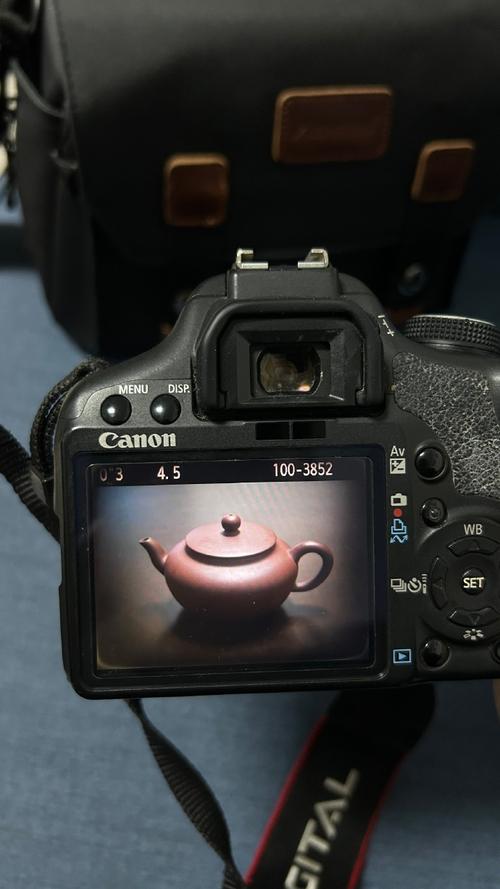 什么软件拍照好看不带水印图2