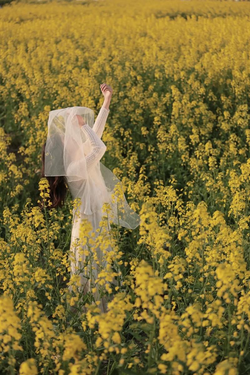 拍照背景图风景唯美图2