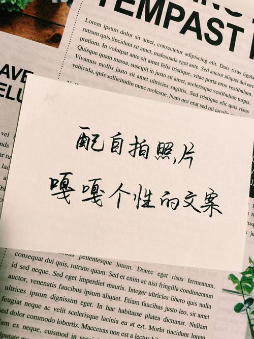 什么软件可以生成视频文案图1