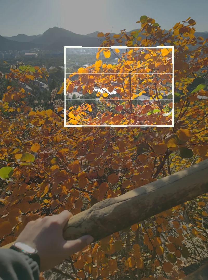 拍照打光图片纯色大全大图图1