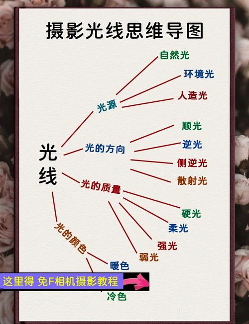 拍照的时候怎么打光图2