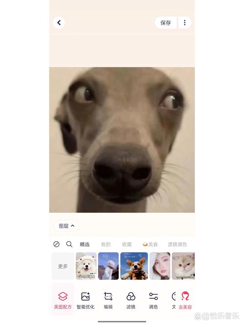 照片像素低怎样提高图3