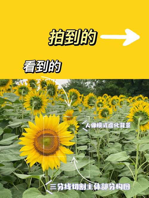 手机相机拍照怎么显示时间地点图1