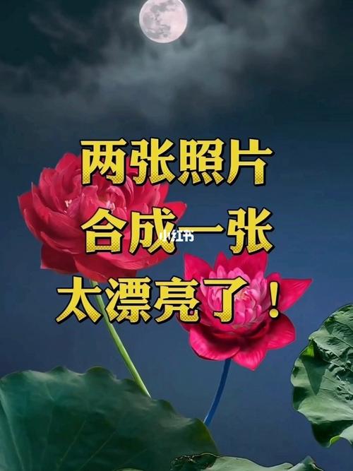 什么照相软件可以拼照片图1