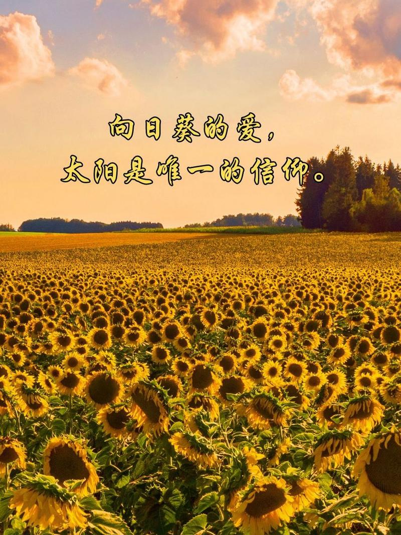 亮光图片大全唯美伤感图3