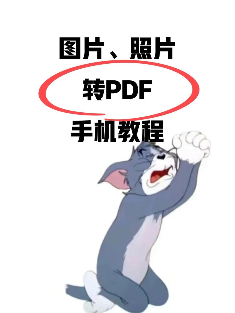 拍照转文字的软件叫什么图3