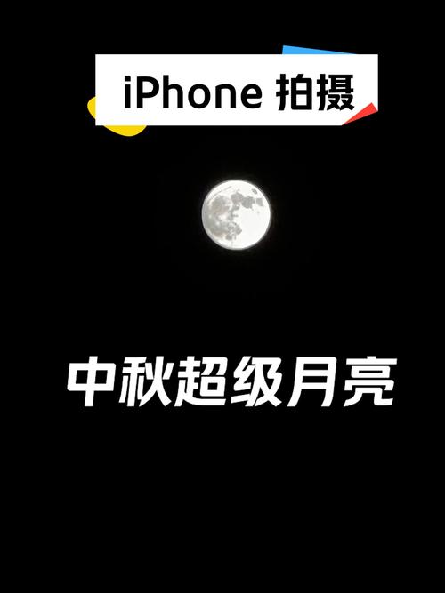 手机摄影入门心得体会图1