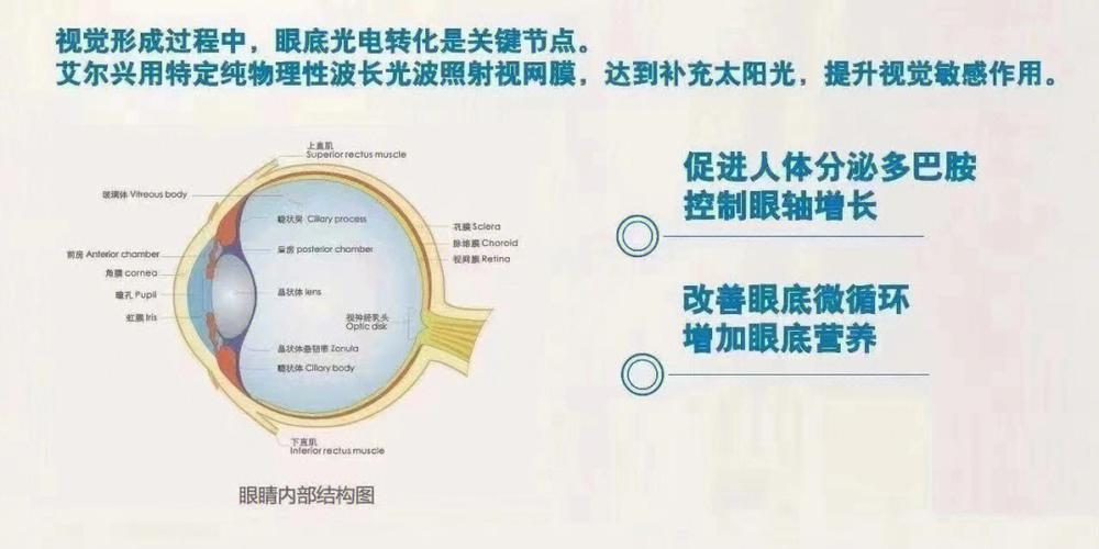 补光是什么意思哺远是什么意思图3