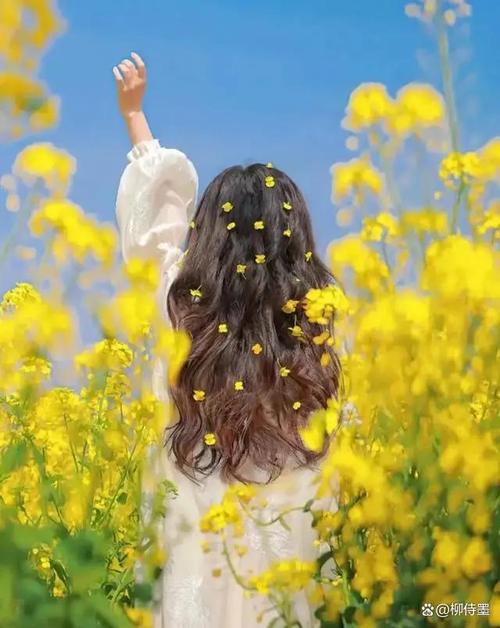 怎么拍照片好看有高级感