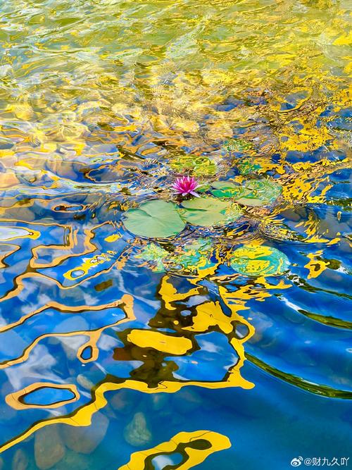 拍照好的手机3000元以下图1