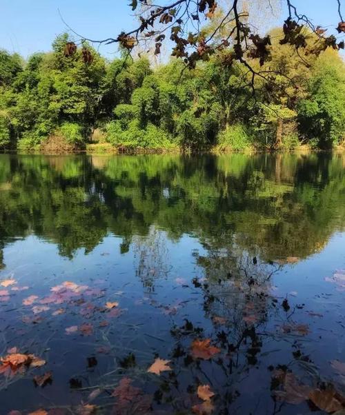 拍风景的构图技巧图3