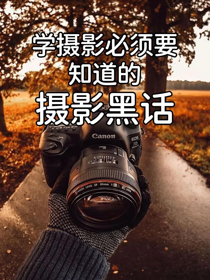 拍照打光图片纯色怎么弄好看图3