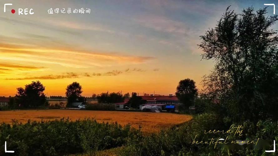 拍照光线最好的几个时间段图1