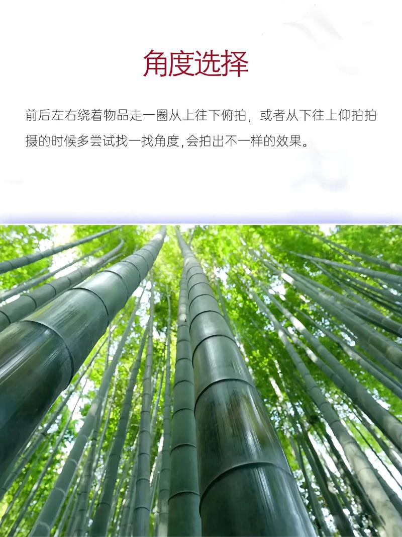 手机拍照书籍图片大全图2