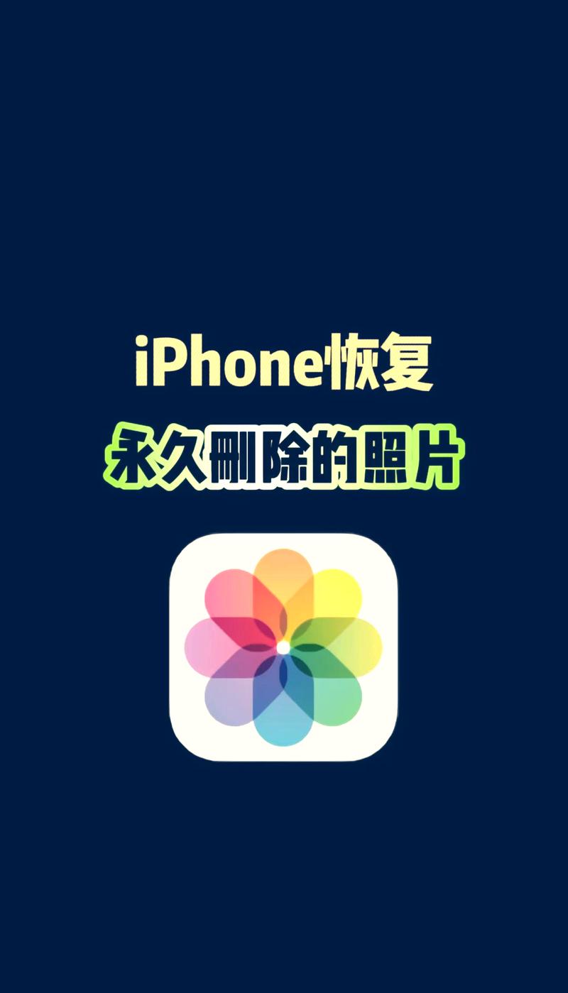 手机自带相机不小心卸载了咋恢复