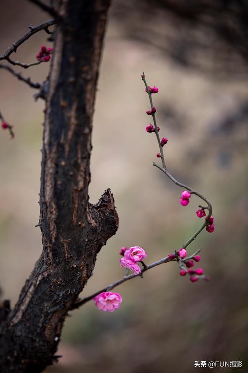 拍照什么角度最好图2