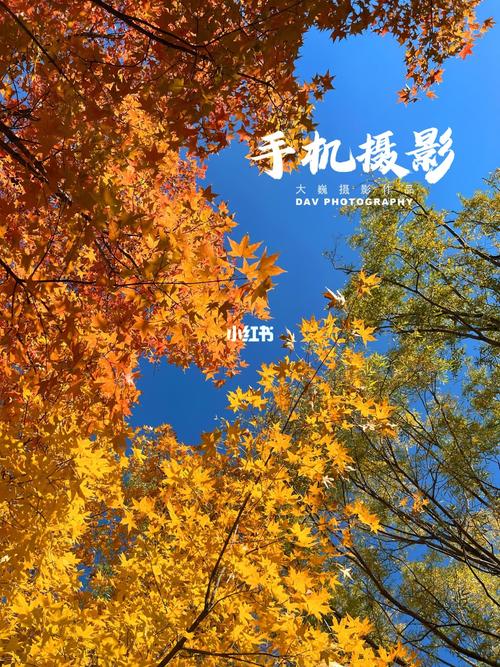 相机拍摄带时间地点图3