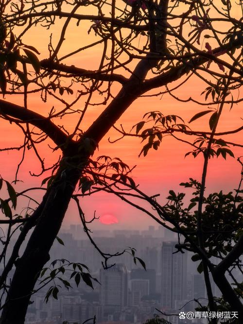 手机风光摄影八个小技巧视频图1