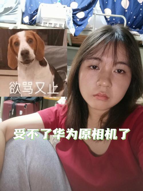 手机原相机里面的自己真实吗?图3