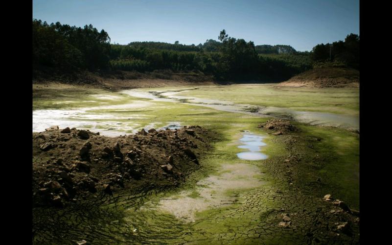 原相机拍出的照片是真实的自己吗?