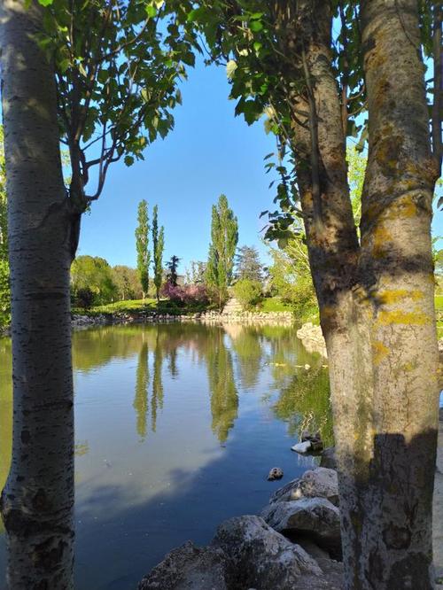 荣耀拍照手机哪款最好2千左右图3