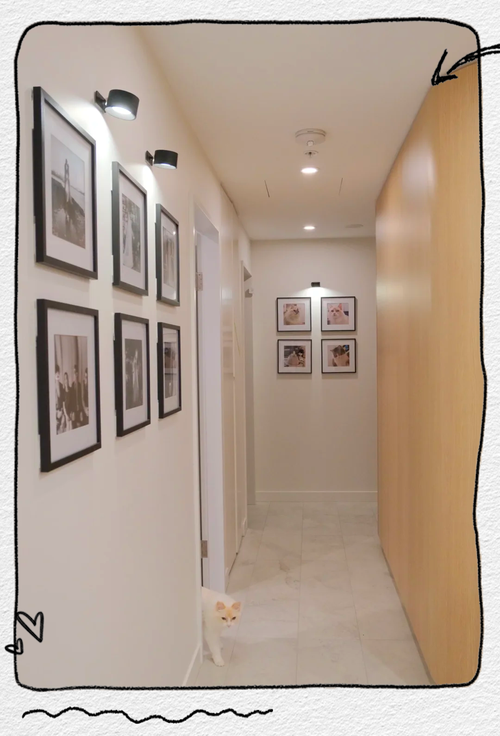 拍照背景墙怎么设计好看图2