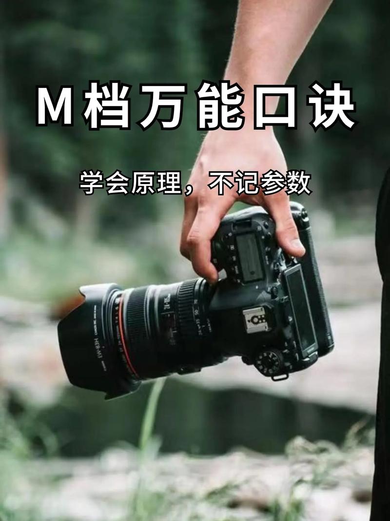 相机拍照技巧教学视频教程图3