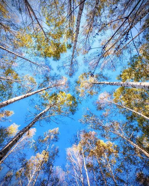 手机拍照的诀窍和技巧图3