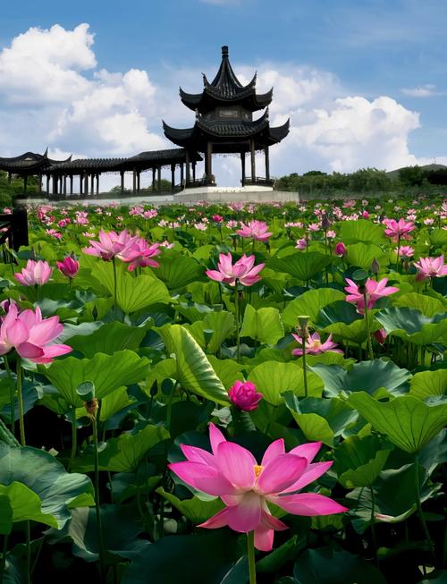 显示时间地点的相机软件图3