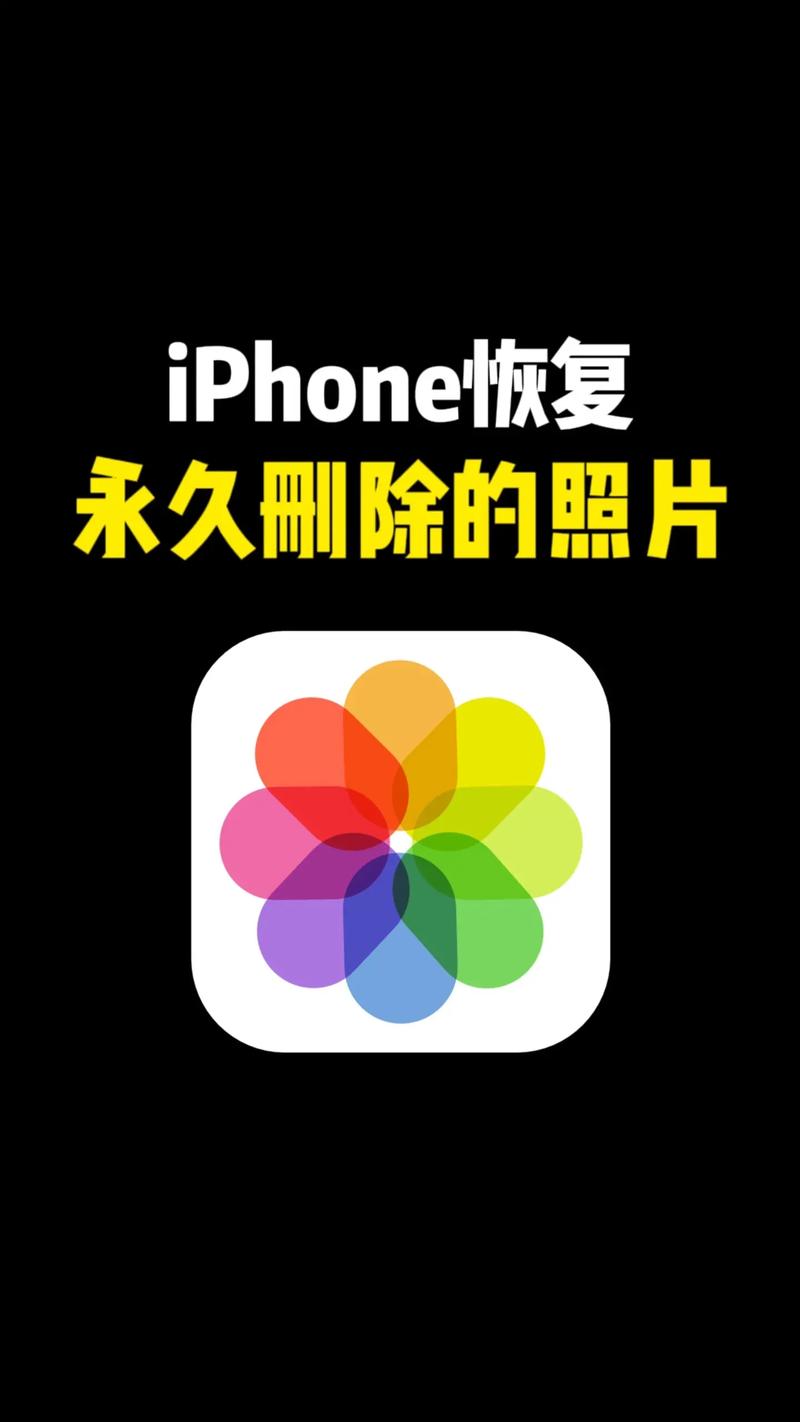 手机相册的照片删除后如何找回图2