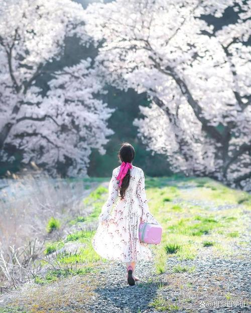 拍照片怎么摆造型