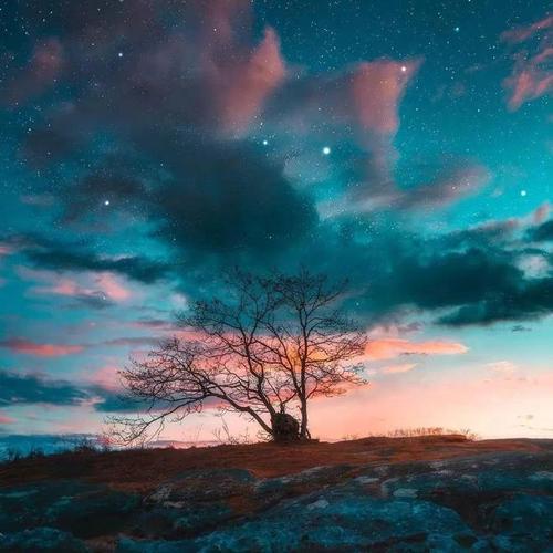 新春背景图片大全唯美图1