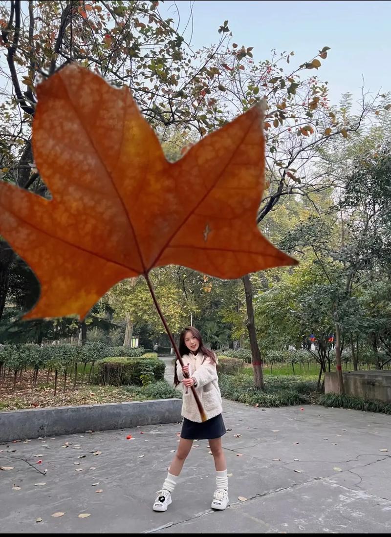 枫叶拍照人物姿势图片图2