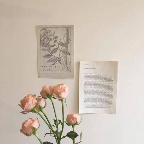 有哪些好看且唯美的微信朋友圈背景图?