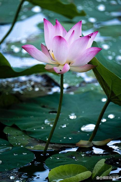 手机摄影选修课好过吗