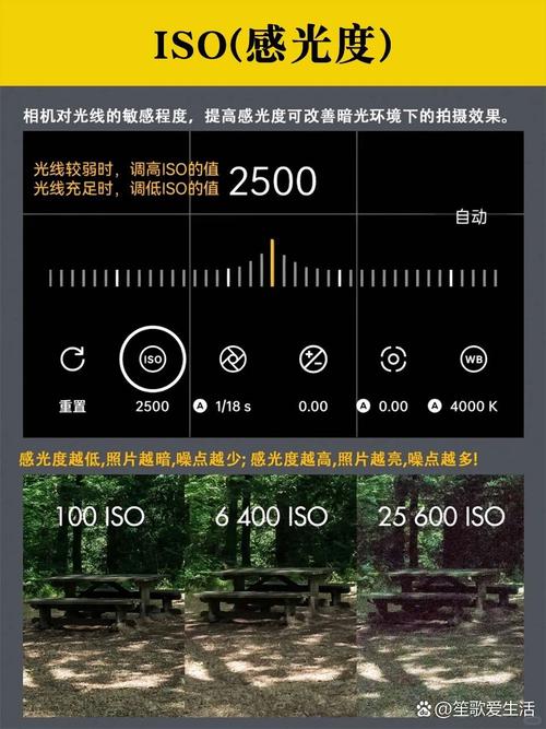 OPPO手机拍照构图线怎么设置