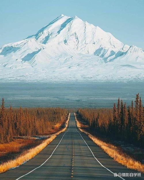 拍照最好的是哪款手机图1