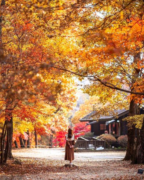 单人拍照姿势大全外景图1